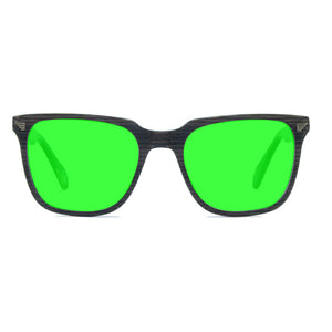 Kent  Sunglasses