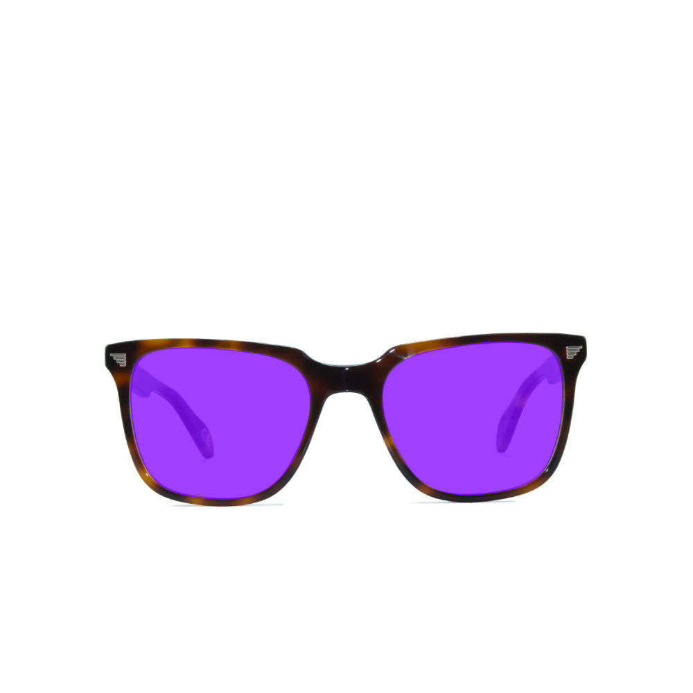 Kent  Sunglasses