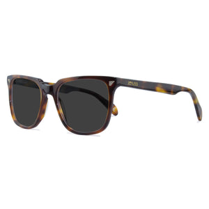 Kent  Sunglasses
